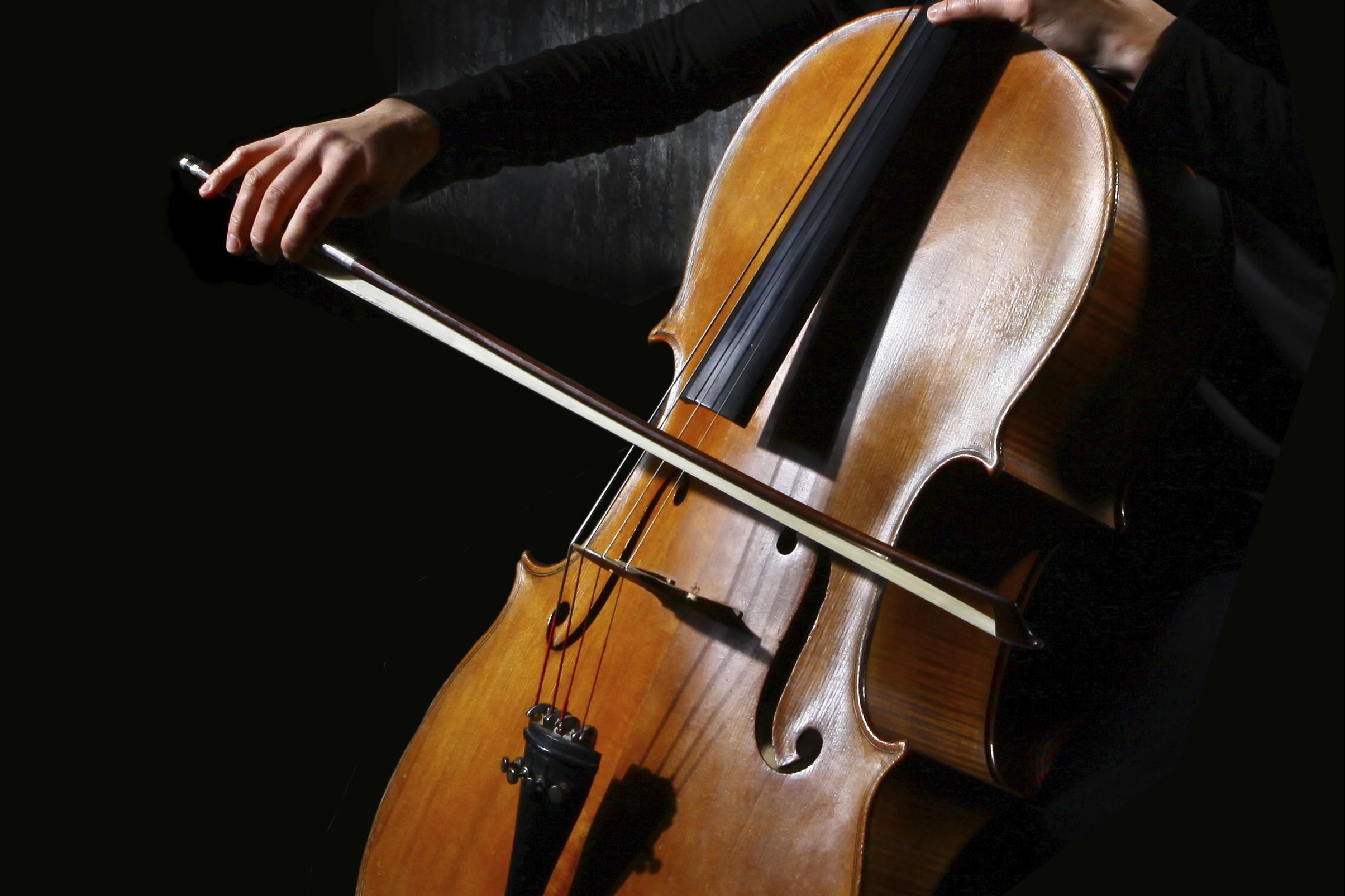 Пронзительная скрипка. Виолончель (chello hongmijoo ilga salinsagan, 2005). Контрабас музыкальный инструмент.