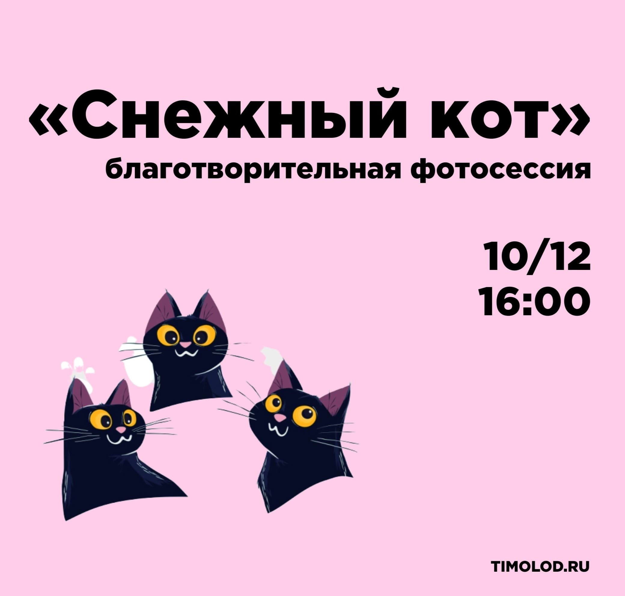 Ты котик