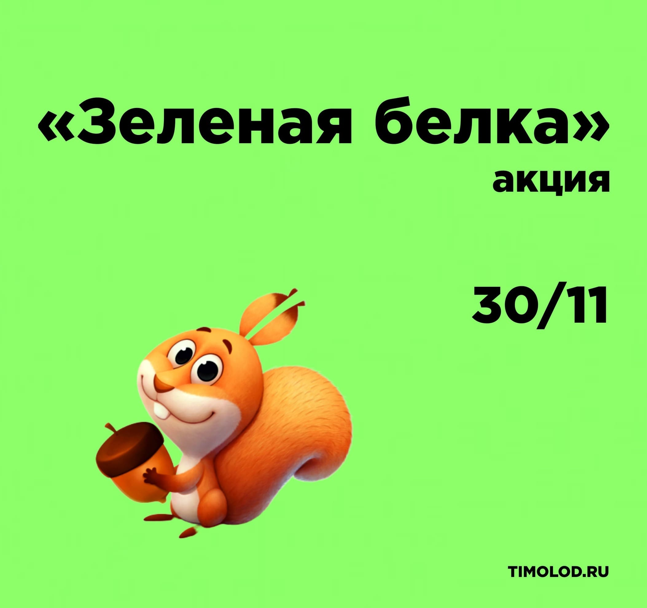 Песня белки ты менял текст