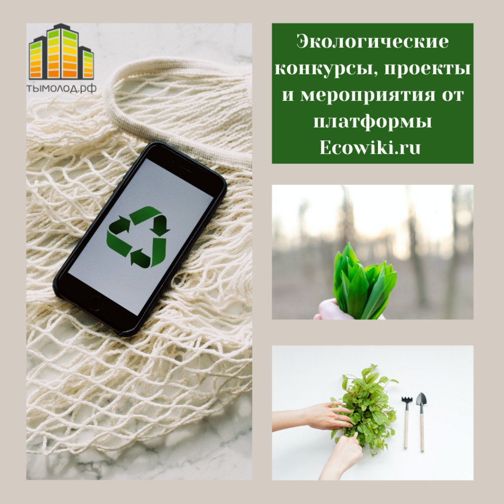 Экологические конкурсы, проекты и мероприятия от платформы Ecowiki.ru 