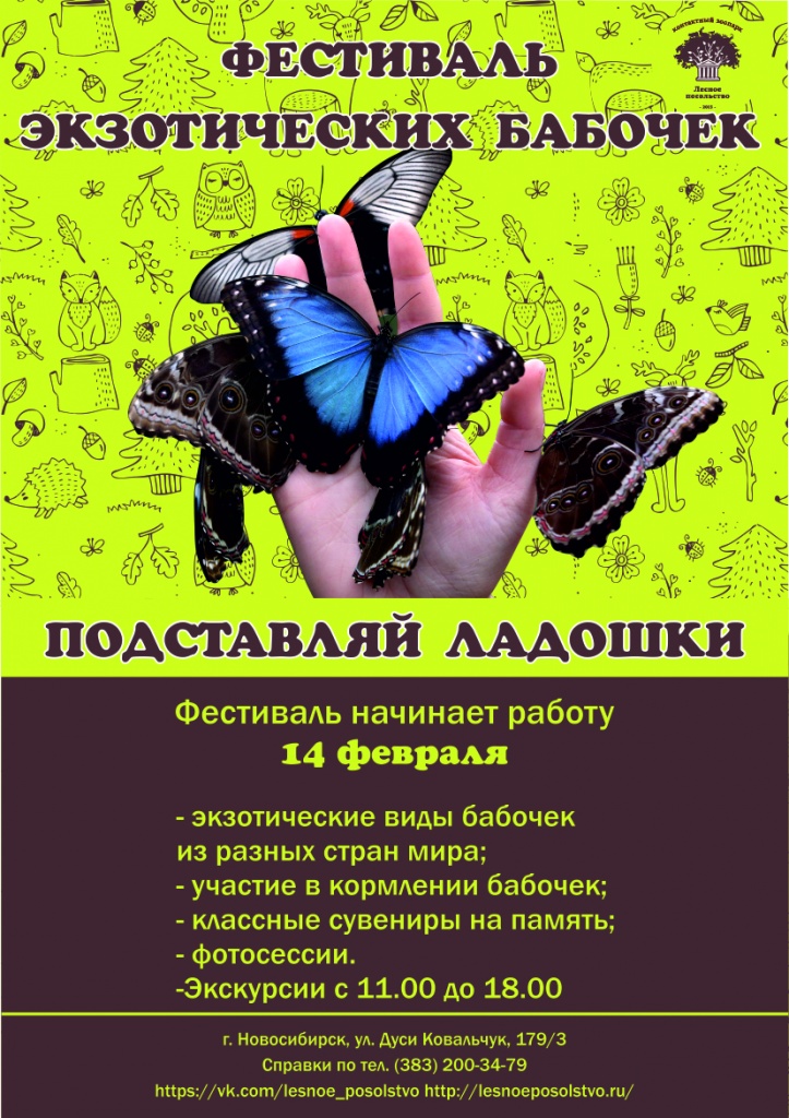 афиша бАБОЧКИ  а4.jpg