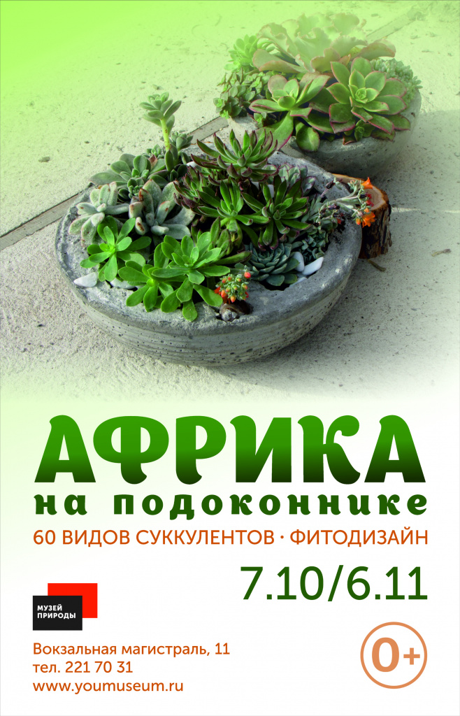 Африка на подоконнике 0,45х0,7.jpg