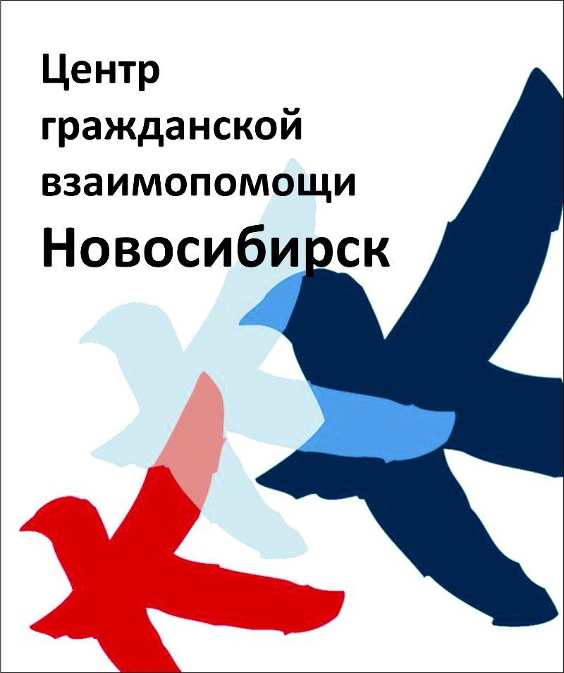 Молодежный центр новосибирск. Комитет гражданских инициатив. Комитет гражданских инициатив логотип. Виды гражданских инициатив. Гражданская взаимопомощь.