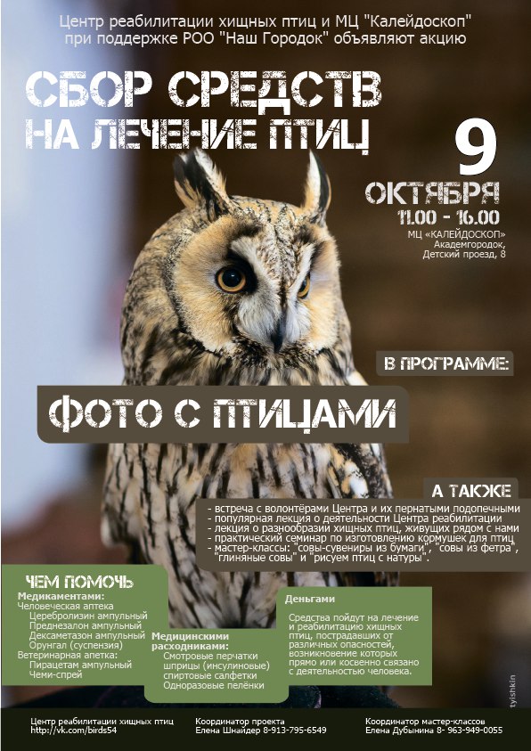 Afisha_Sbor_sredstv_na_reabilitatsiyu_khischnykh_ptits.jpg