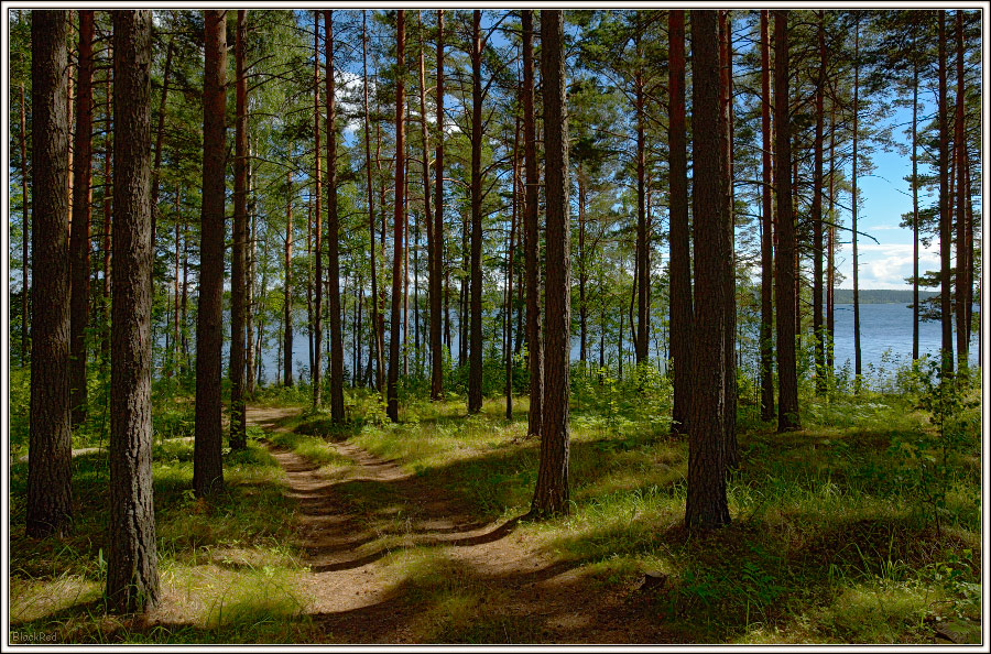 prodazha_233971_1.jpg