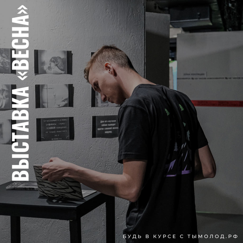 Выставка живописи в Новосибирске 