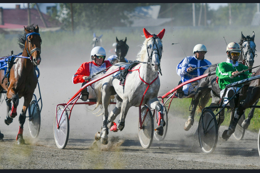 img_20170807_142821_-_kopiya_1 (1).jpg