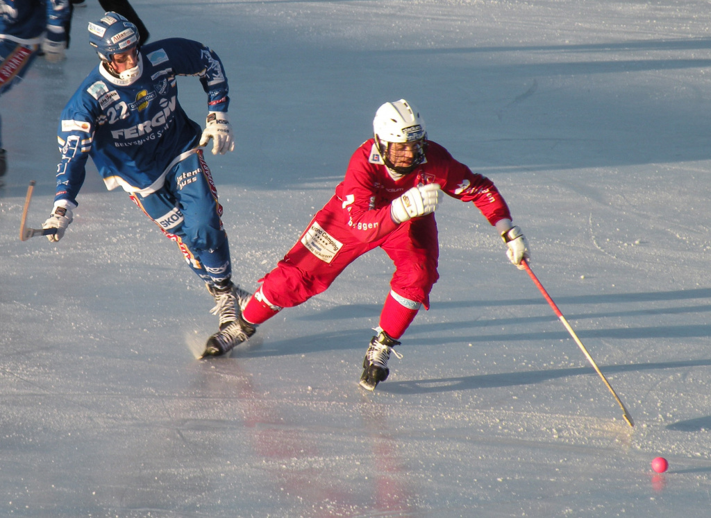 Bandy_players.jpg
