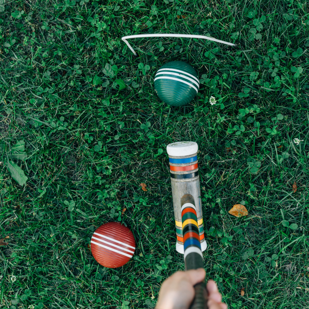 Городской чемпионат по крокету