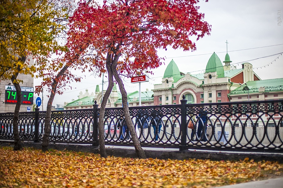 Осень В Новосибирске Фото