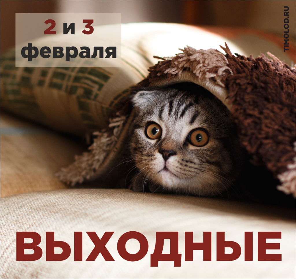 Резервная_копия_Резервная_копия_Резервная_копия_Rezervnaya_kopia_novaya_zastavka_2018 (1).png