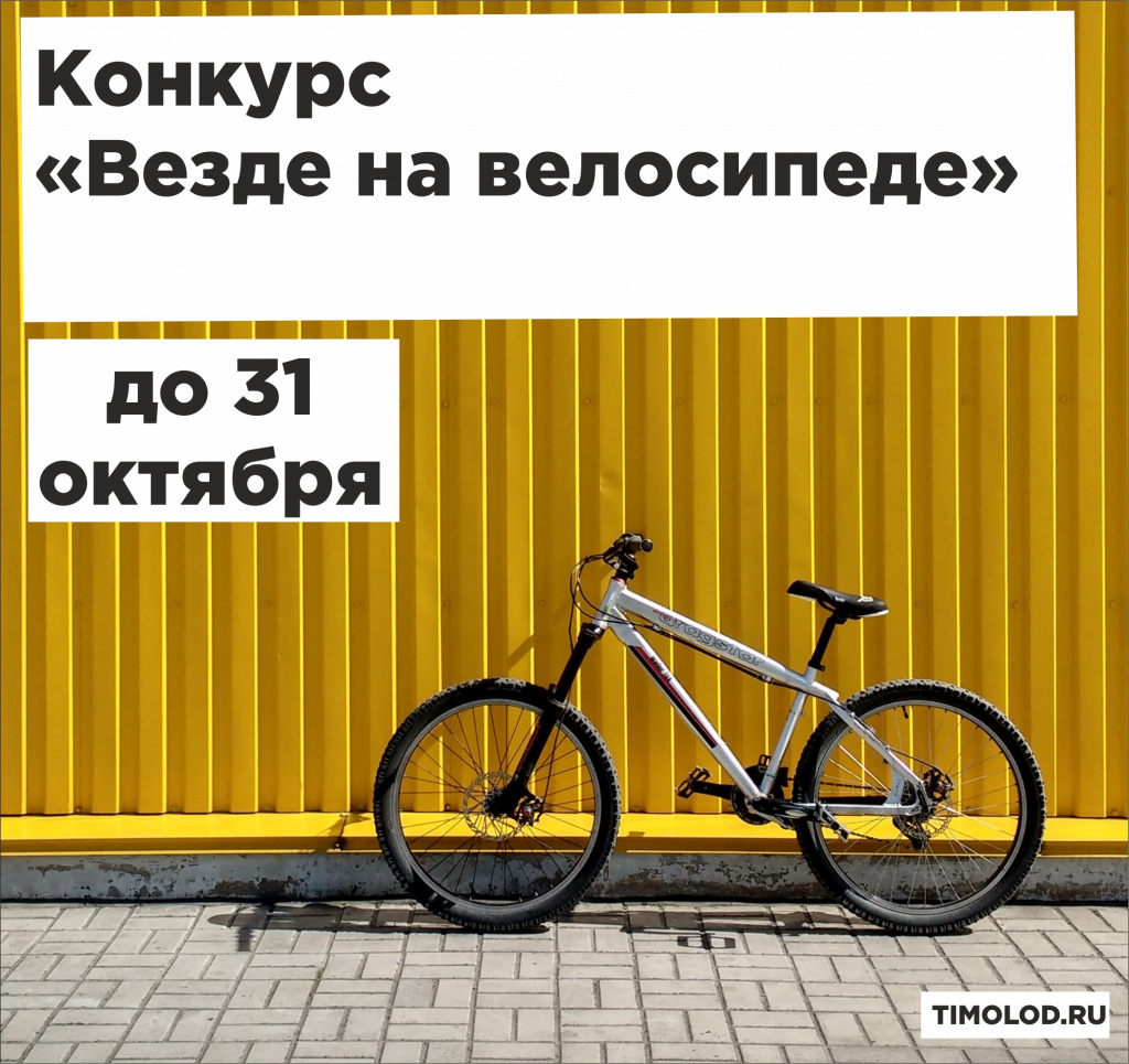 qe4dtWECcko.jpg