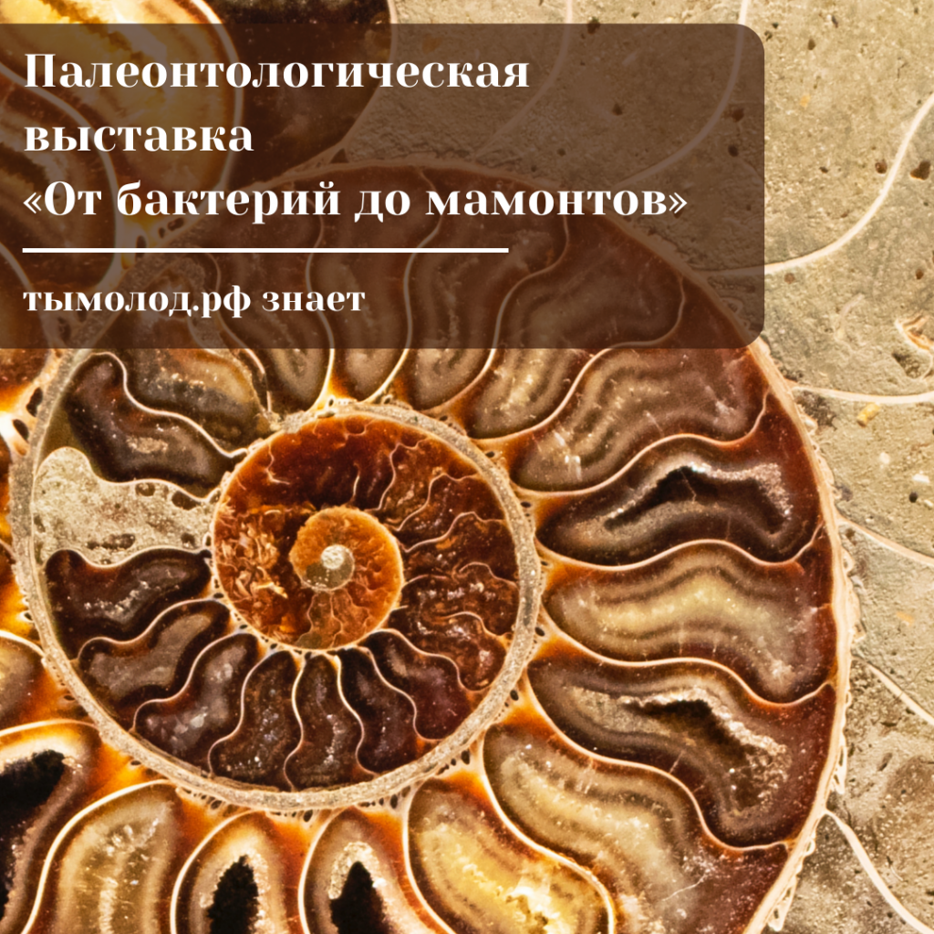 Палеонтологическая выставка «От бактерий до мамонтов» 