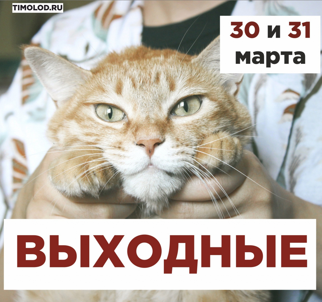 Wm_Rp4OhcD0.jpg