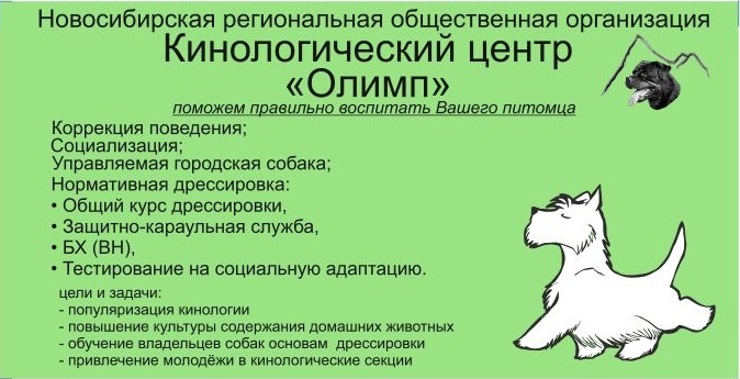 DxgjVIsI-zY.jpg