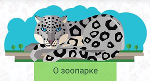 uqunURRNTLc.jpg