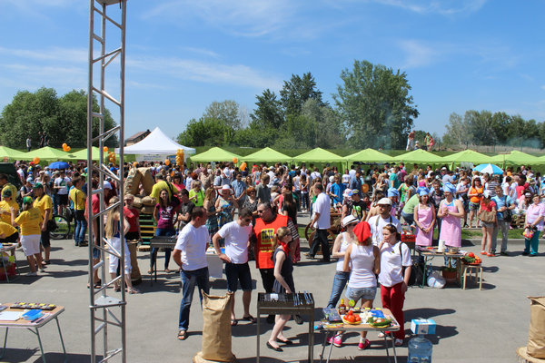 img_16.jpg