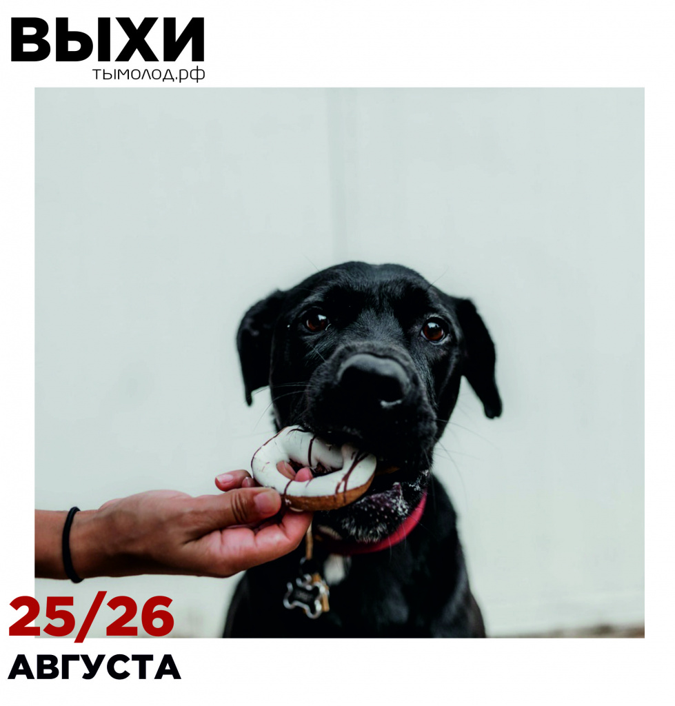 выхидные.jpg выхидные.jpg