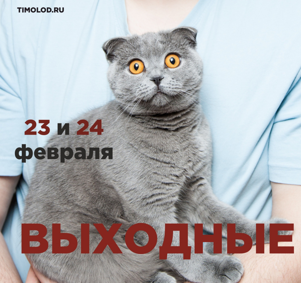 OhVHPx2Xn8w.jpg