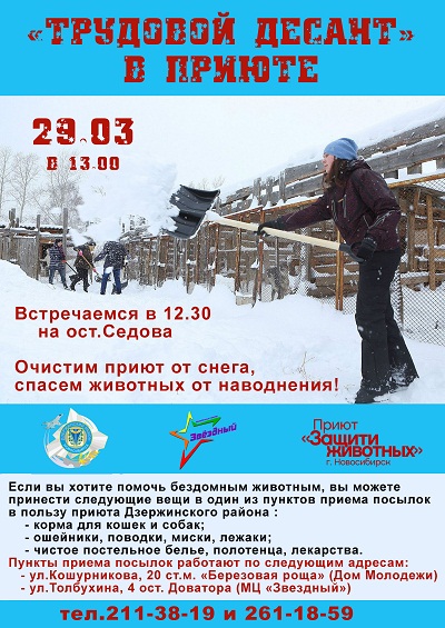 уборка снега в приюте - копия.jpg