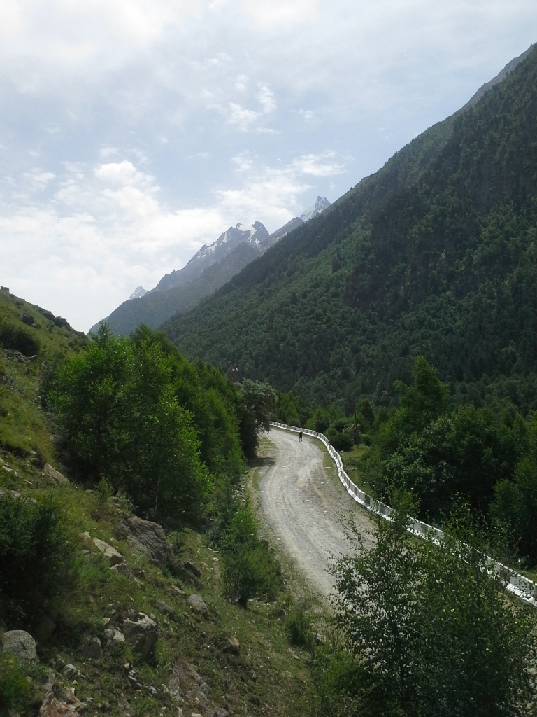 20140713_151044.jpg