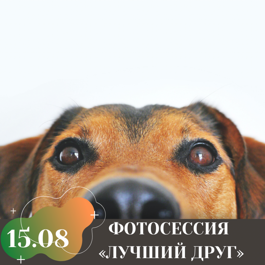 ФОТОСЕССИЯ «ЛУЧШИЙ ДРУГ»