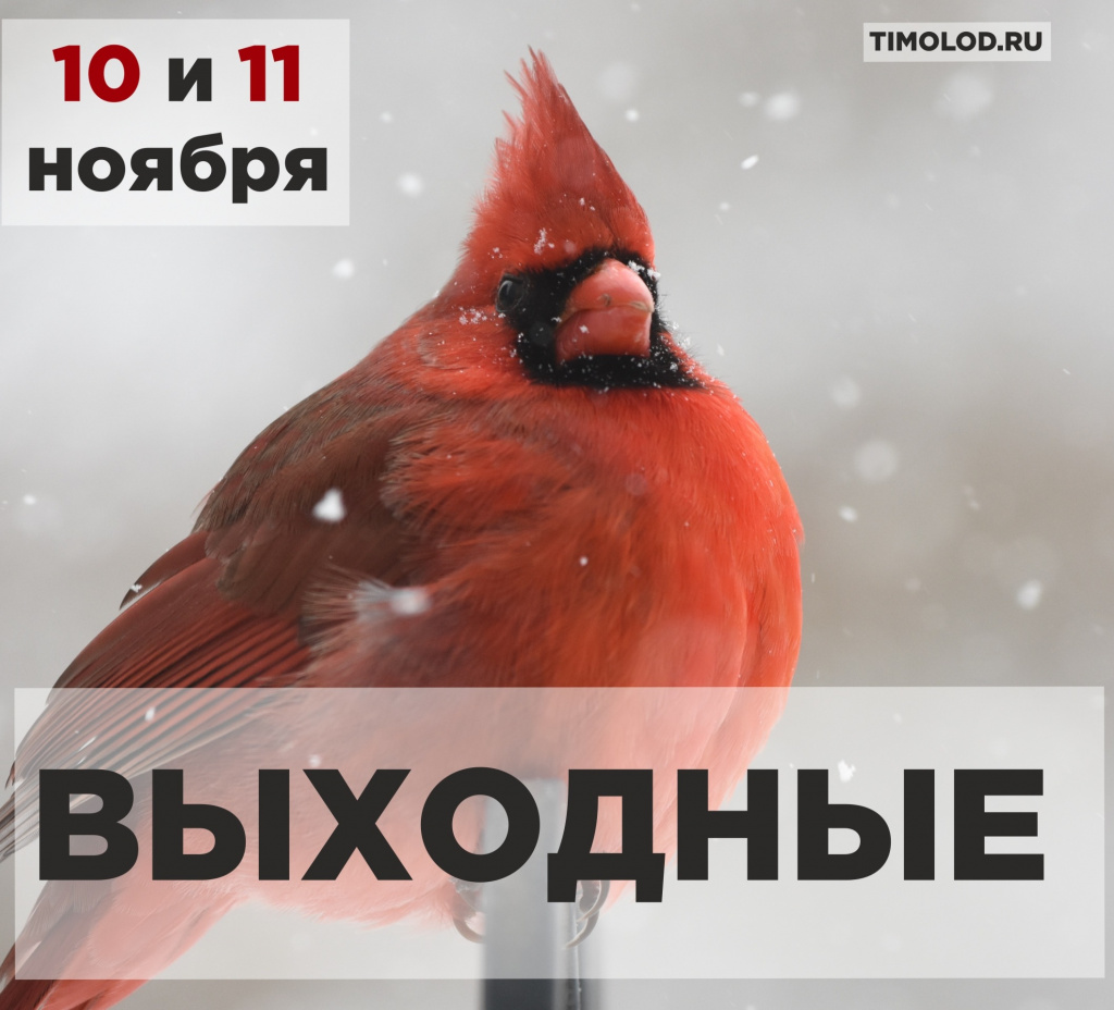 выхи.jpg