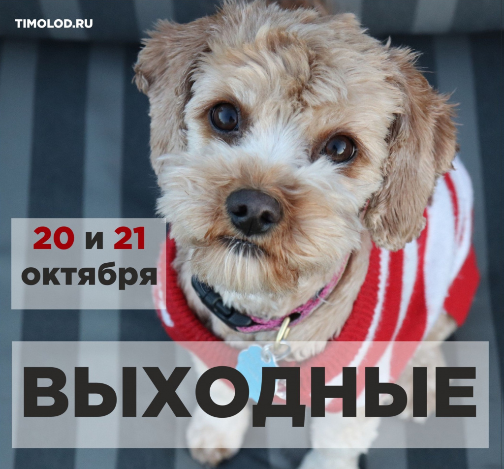 5rcor9Q0Cv4.jpg 5rcor9Q0Cv4.jpg