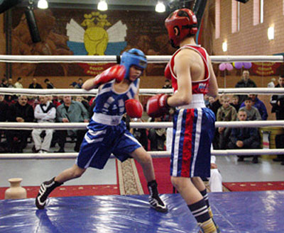 phoca_thumb_l_Boks.jpg