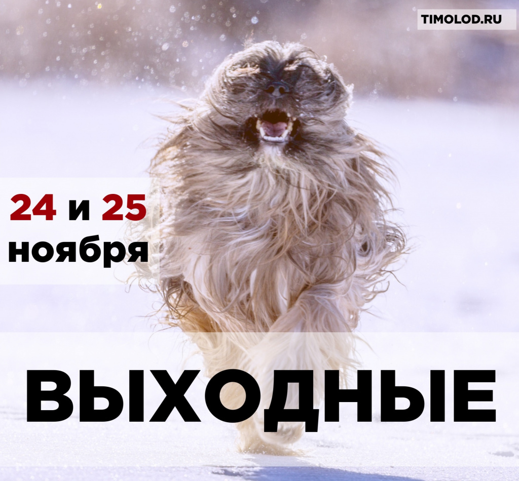 выходные 2425.jpg