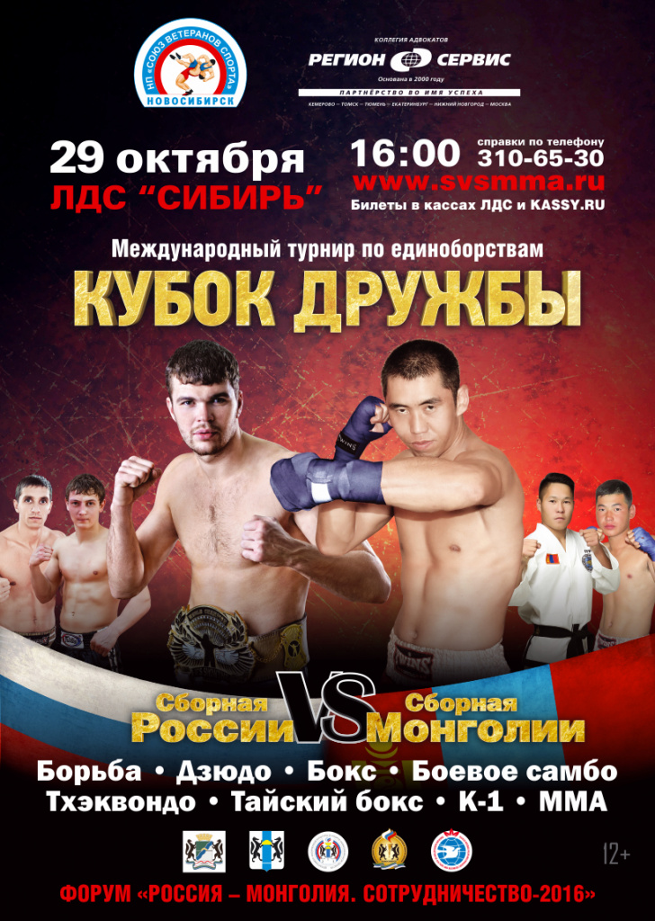 Fight_2016_A3 Automobile.jpg