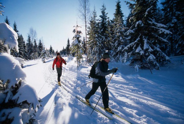 cross-country-skiing-01b1.jpg
