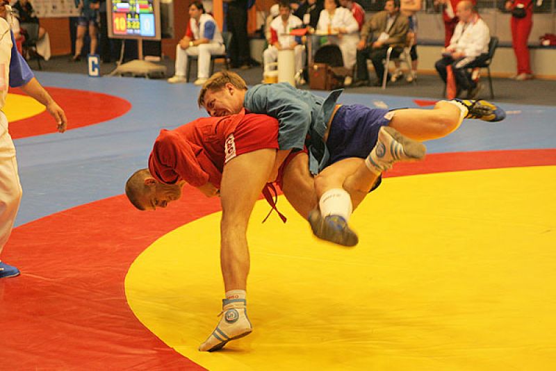 1310047170_sambo.jpg