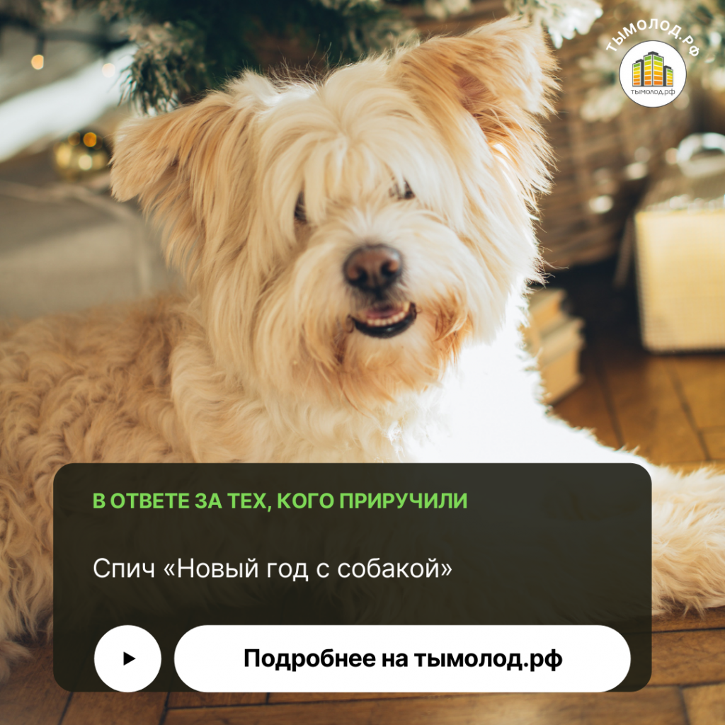 Спич «Новый год с собакой» 