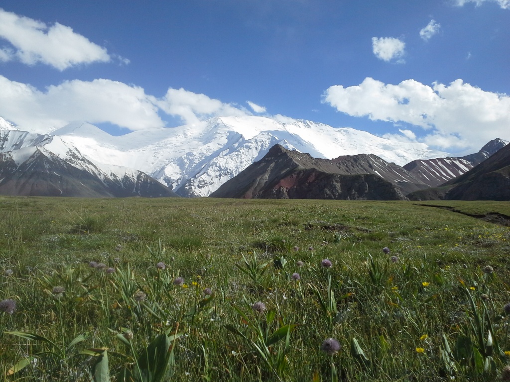 20140721_181952.jpg