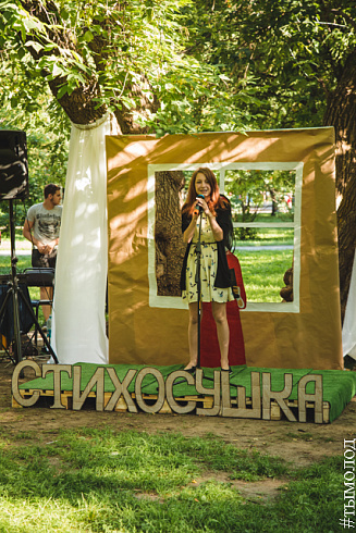 Стихосушка
