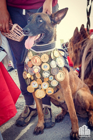 "Город Чемпионов"