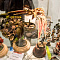 HobbyTime - 2015