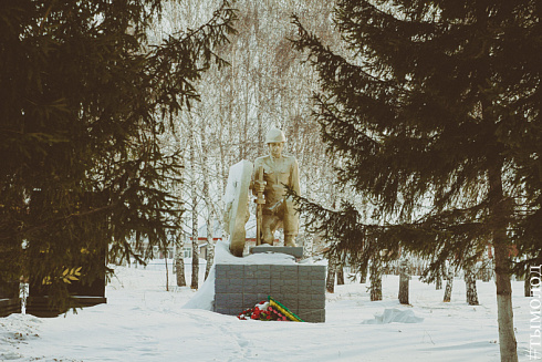 Акция "Снежный десант"