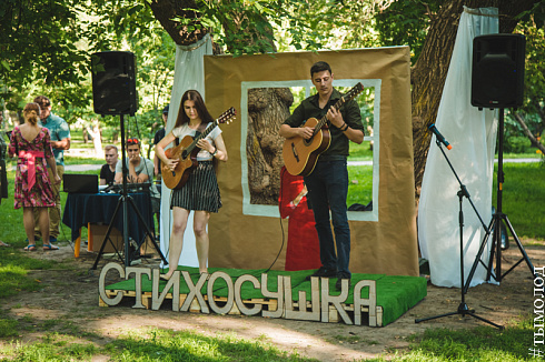 Стихосушка