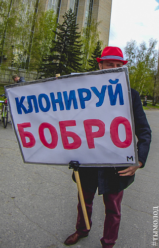 Всешествие в Новосибирске