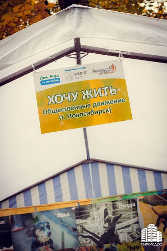 День Мира в Центральном парке