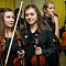 Фестиваль  «Musica Integral»  