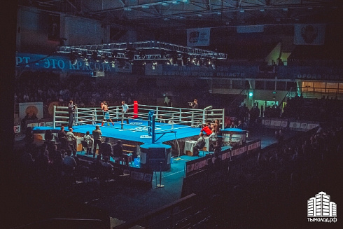 Отборочный турнир по боксу, 31.01.2015