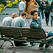 Open Space Picnic Nsu