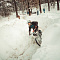 DOWNMALL SIBERIA: ОТБОРОЧНЫЕ СОРЕВНОВАНИЯ