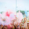 Фестиваль красок "Holi-Day" у ТЦ "МЕГА"