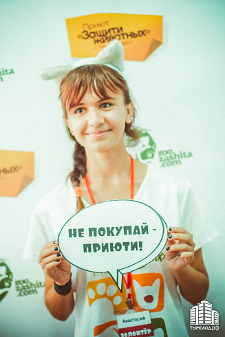 Выставка-раздача бездомных животных "Варежка"
