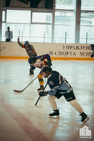 Товарищеский матч по хоккею